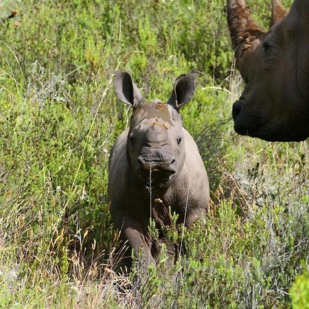 Safari Lodge - アマカーラ・ゲーム・リザーブ エクステリア 写真