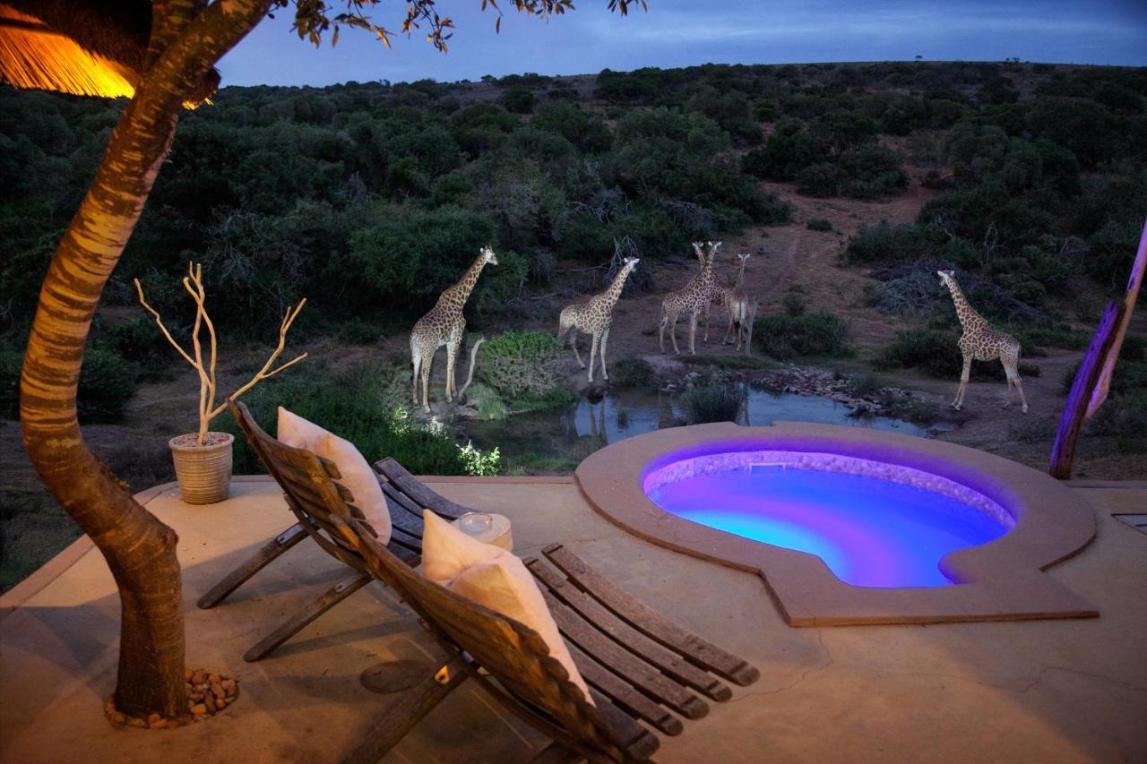 Safari Lodge - アマカーラ・ゲーム・リザーブ エクステリア 写真