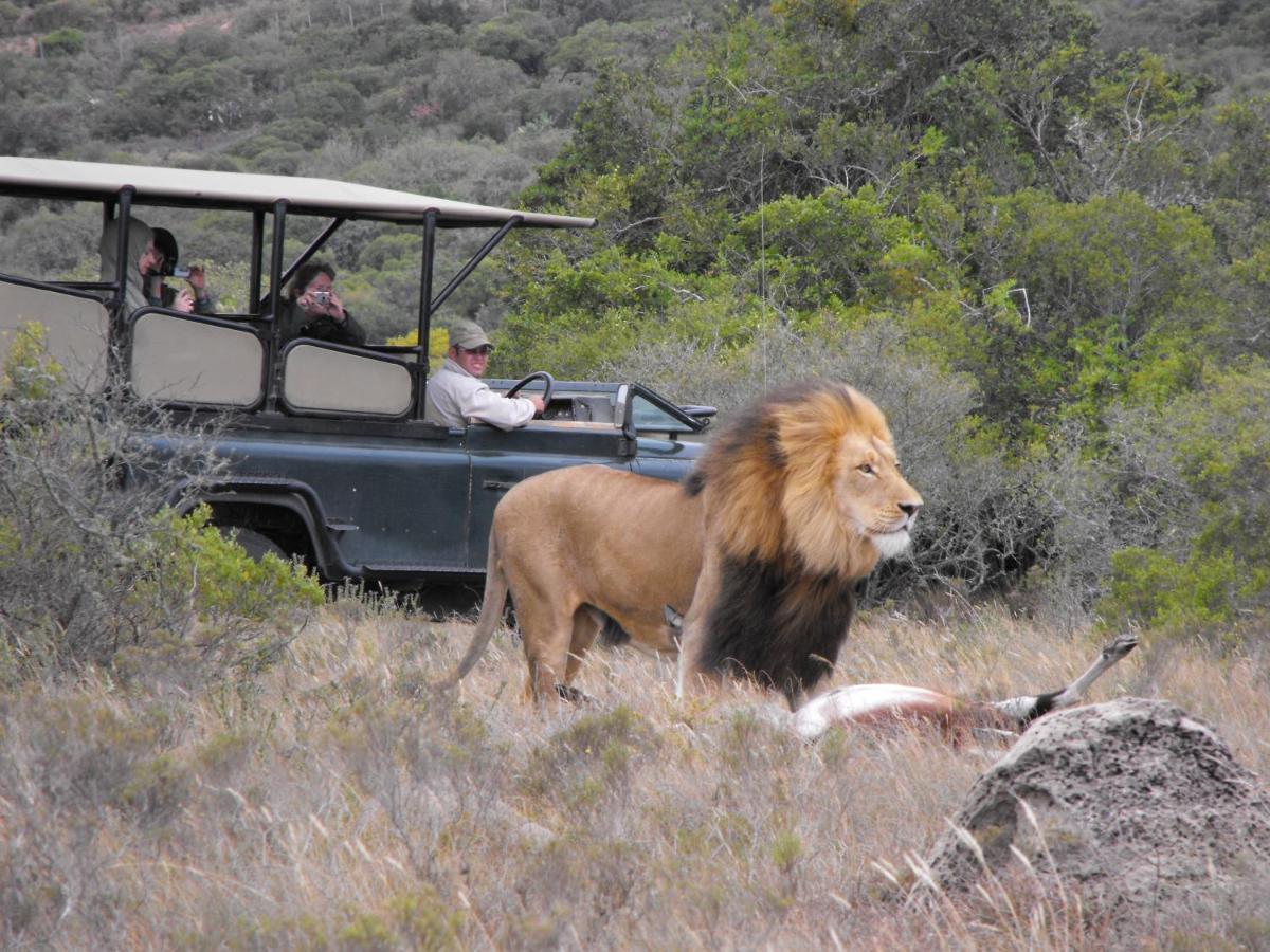 Safari Lodge - アマカーラ・ゲーム・リザーブ エクステリア 写真