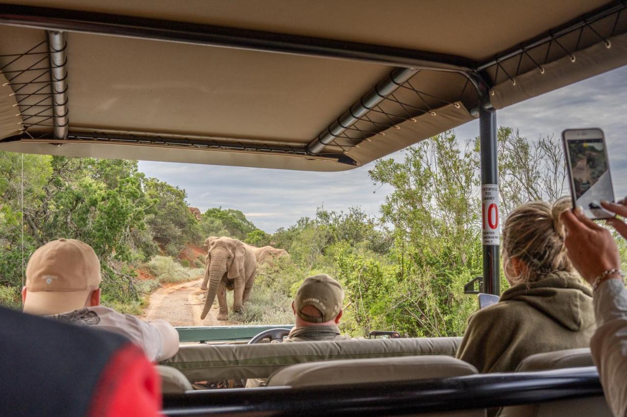 Safari Lodge - アマカーラ・ゲーム・リザーブ エクステリア 写真